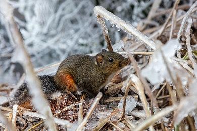 《战地2042》Xbox已经可以预载了 XSX＆S 54GB