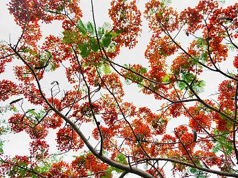 《Global Farmer》登陆Steam 全球数据农业经营