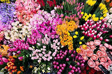 恐怖清版射击游戏《死亡微笑I･II》 于Steam正式发售