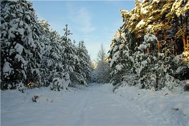 科幻城市建设游戏《InfraSpace》现已发售 Steam好评评价